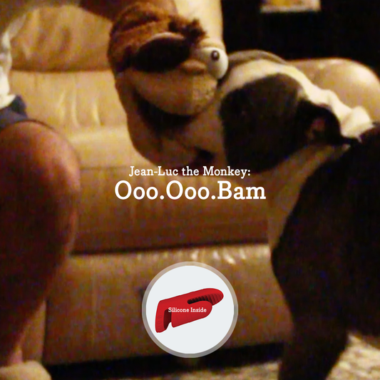 Common Puppy Owner Mistake #9 – Treating Tug as a Bad Behavior
