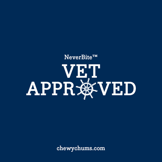 The Safest Dog Toys for Teething Puppies (And What to Avoid)