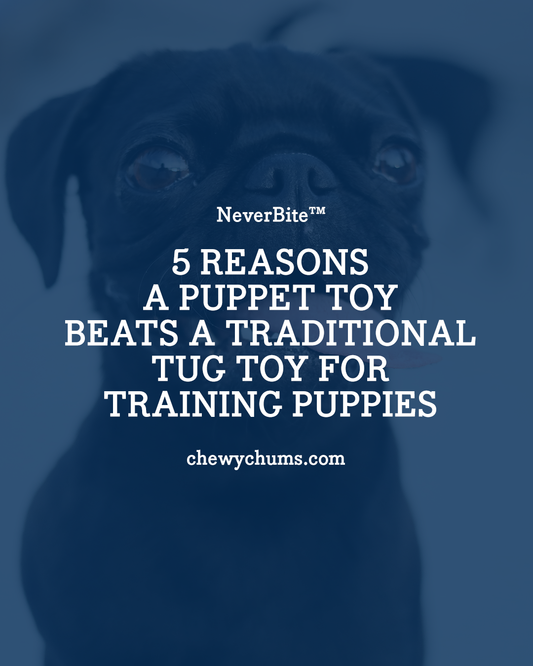 5 Reasons a Puppet Toy Beats a Traditional Tug Toy for Training Puppies