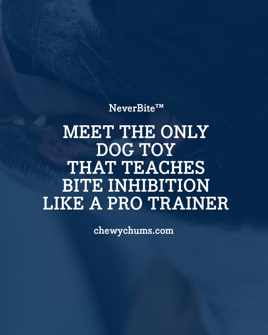 Meet the Only Dog Toy That Teaches Bite Inhibition Like a Pro Trainer