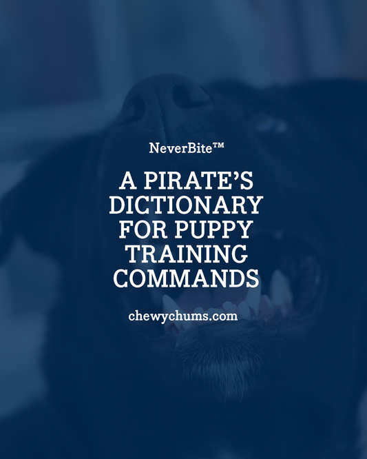 A Pirate’s Dictionary for Puppy Training Commands