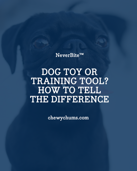 Dog Toy or Training Tool? How to Tell the Difference (and Why It Matters)