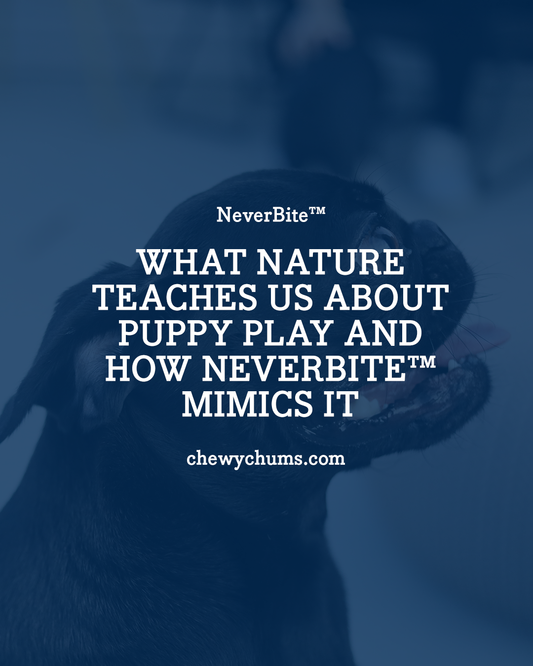 What Nature Teaches Us About Puppy Play—and How NeverBite™ Mimics It