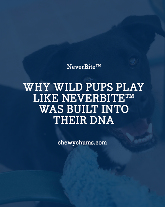 Why Wild Pups Play Like NeverBite™ Was Built Into Their DNA