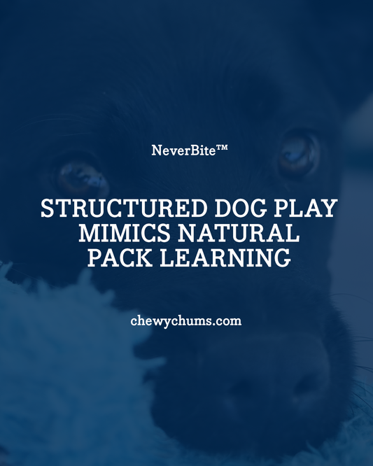 Structured Dog Play Mimics Natural Pack Learning