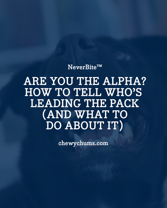 Are You the Alpha? How to Tell Who’s Leading the Pack (and What to Do About It)