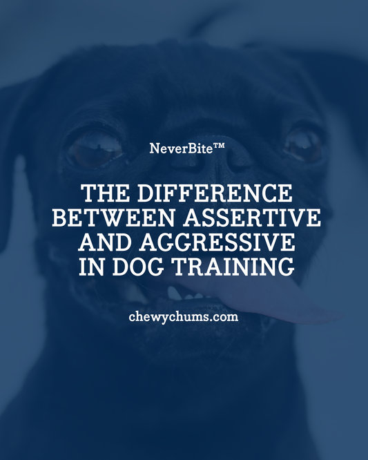 The Difference Between Assertive and Aggressive in Dog Training