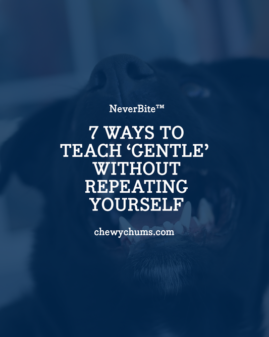 7 Ways to Teach ‘Gentle’ Without Repeating Yourself