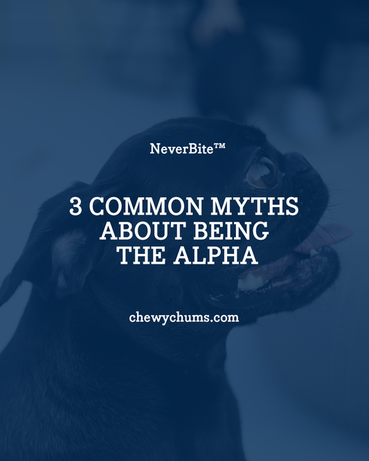 3 Common Myths About Being the Alpha (And What Actually Works)
