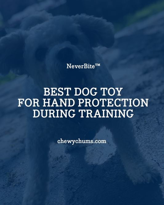 Best Dog Toy for Hand Protection During Training? This One’s Built for It