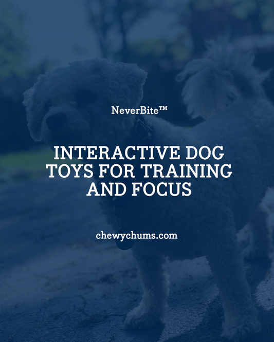 Interactive Dog Toys for Training and Focus: What to Look For