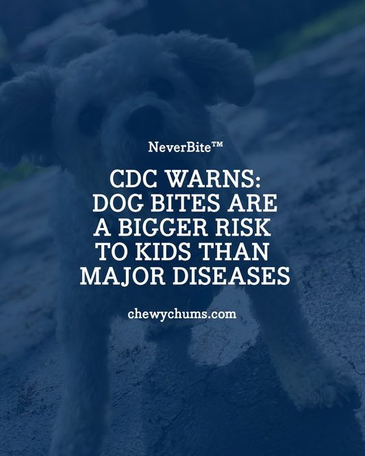 Chewy Chums Blog CDC Warns: Dog Bites a Bigger Risk to Kids Than Major Diseases