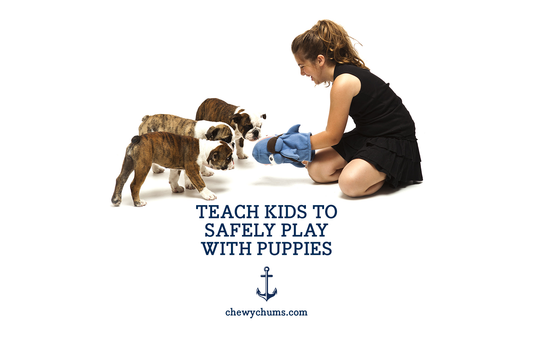 How to Teach Kids to Safely Play With Puppies
