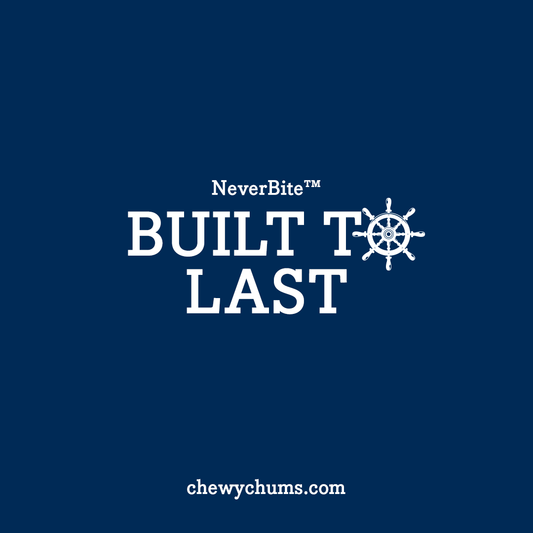 Why No Toy Lasts in Your House (And What That Really Means)