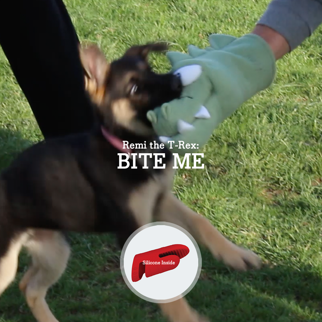 Common Puppy Owner Mistake #6 – Assuming Play Biting Means Aggression