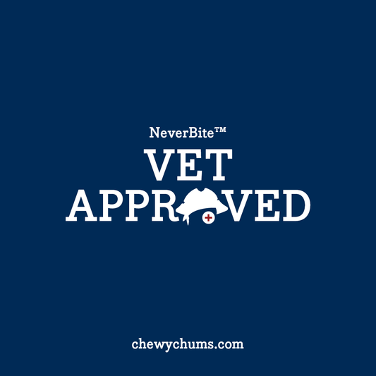 Are Tug Toys Safe for Puppies? What Trainers Really Say