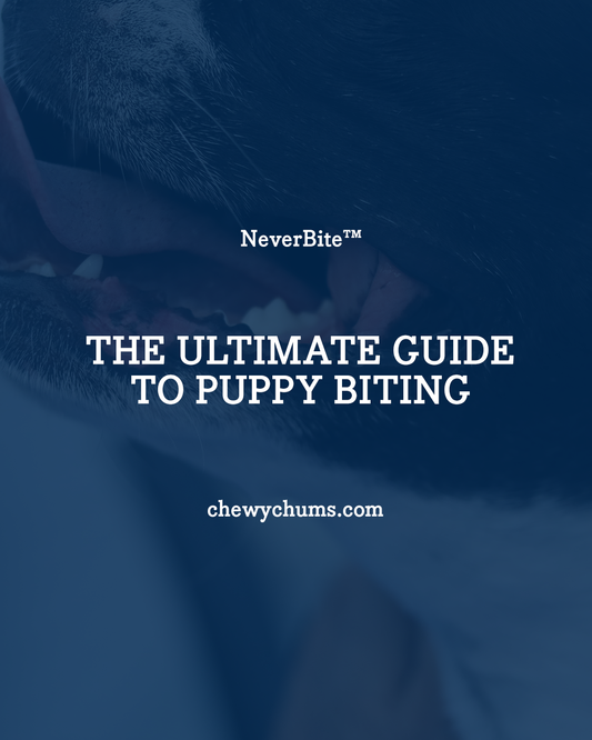 Teach Your Puppy ‘Gentle’: A Trainer’s Guide to Building Bite Inhibition the Right Way