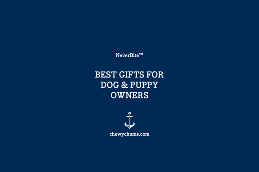 The Best Gifts for Dog & Puppy Owners