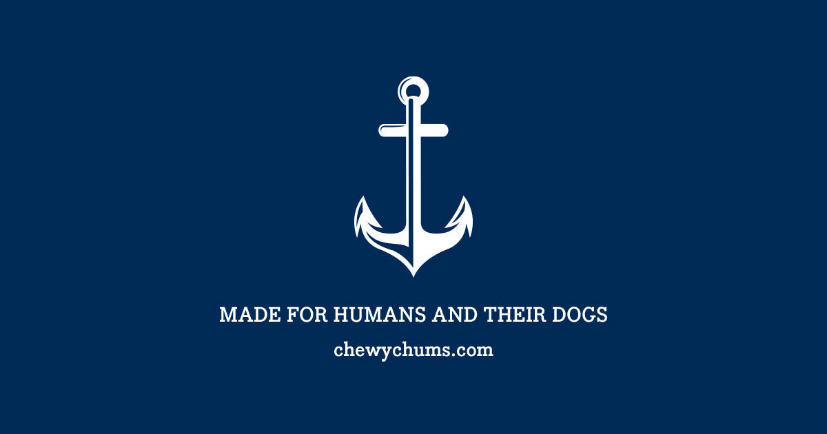 A Pirate’s Dictionary for Puppy Training Commands