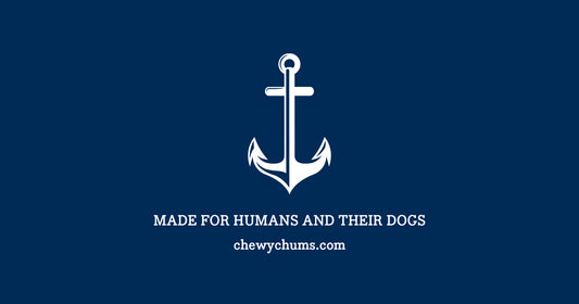 A Pirate’s Dictionary for Puppy Training Commands