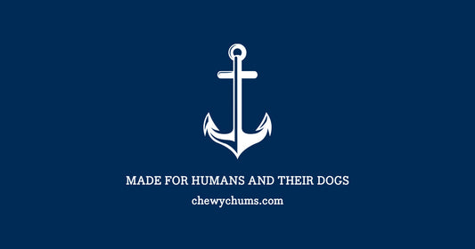 Common Puppy Owner Mistake #2 – Letting Puppies Roam Unsupervised