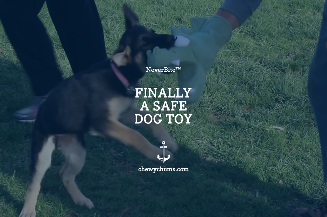 The Surprising Truth About Dog Bites