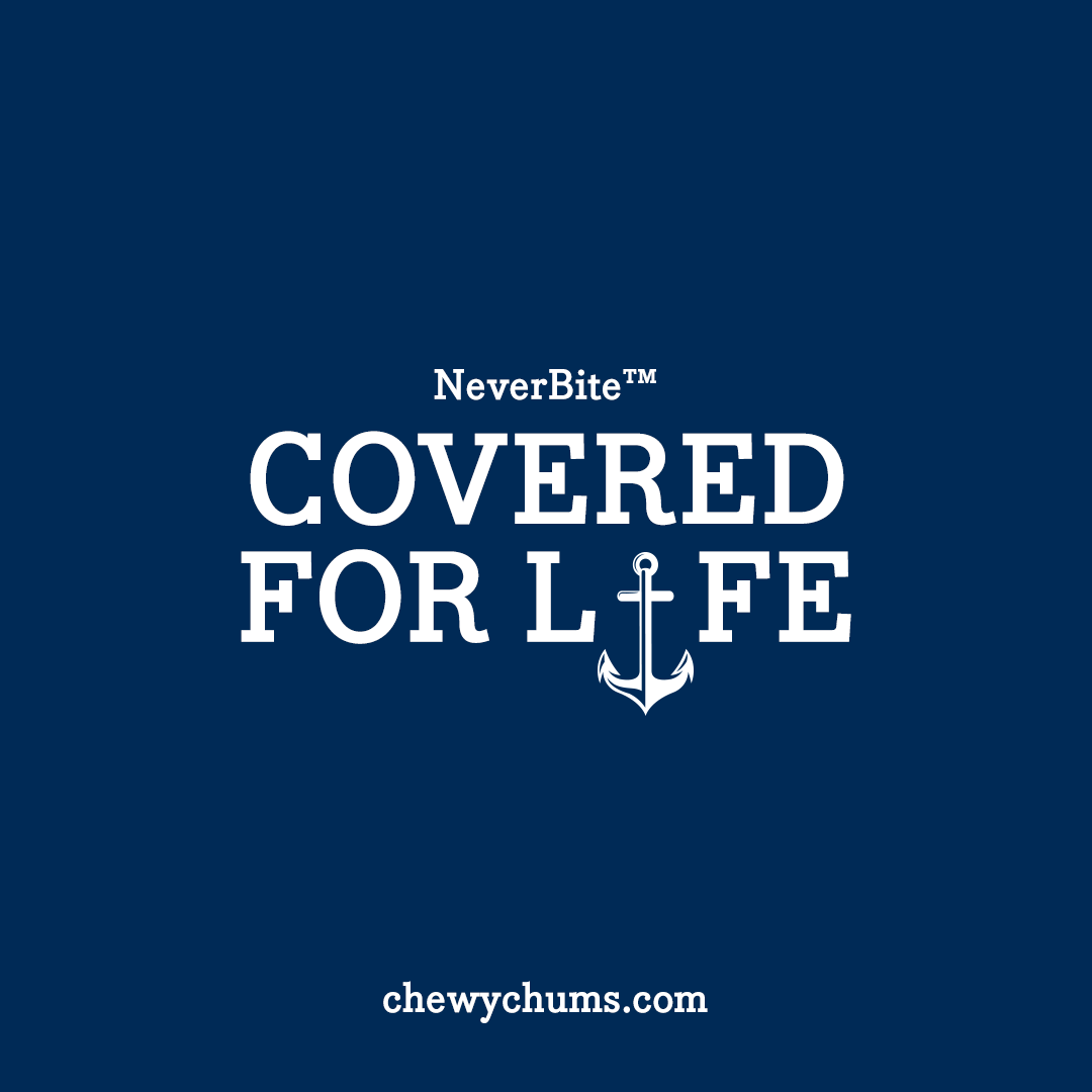 chewy chums NeverBite dog toy trainer