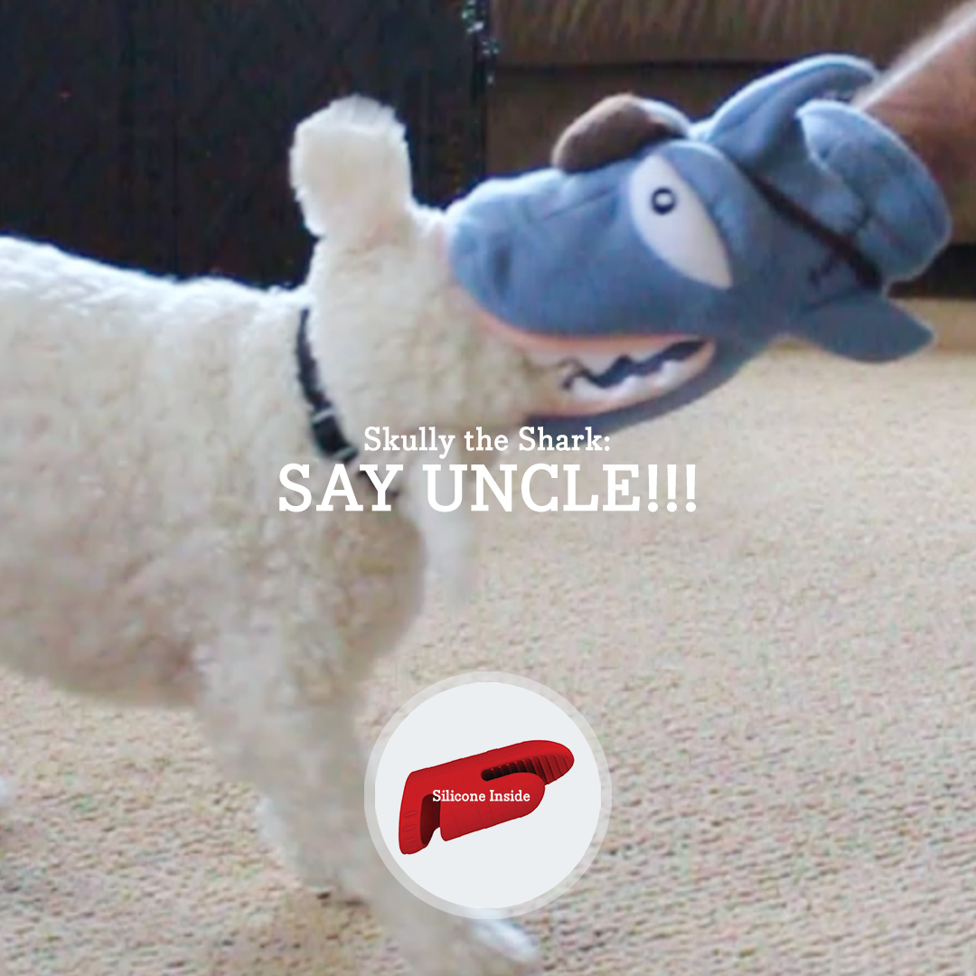 chewy chums neverbite dog trainer toy