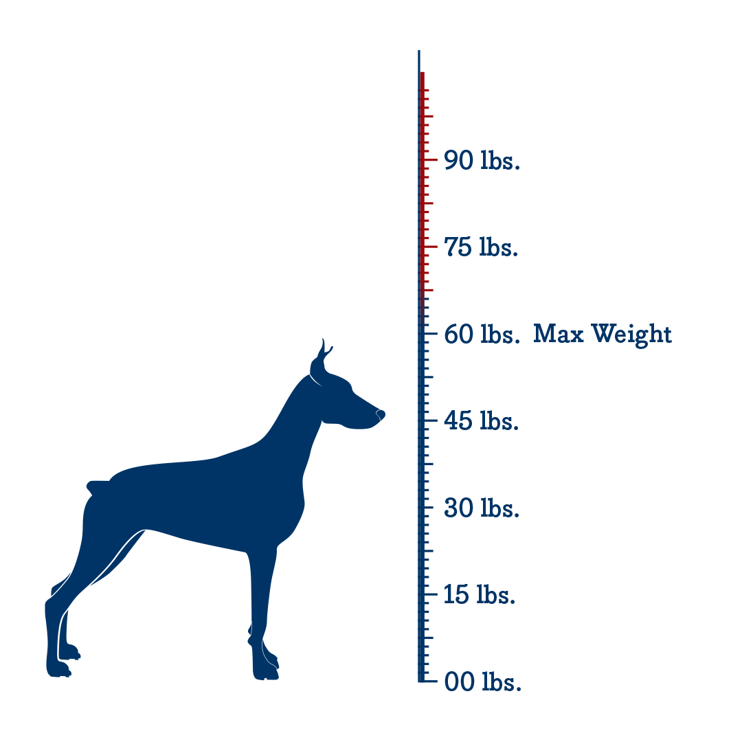 chewy chums neverbite dog trainer toy