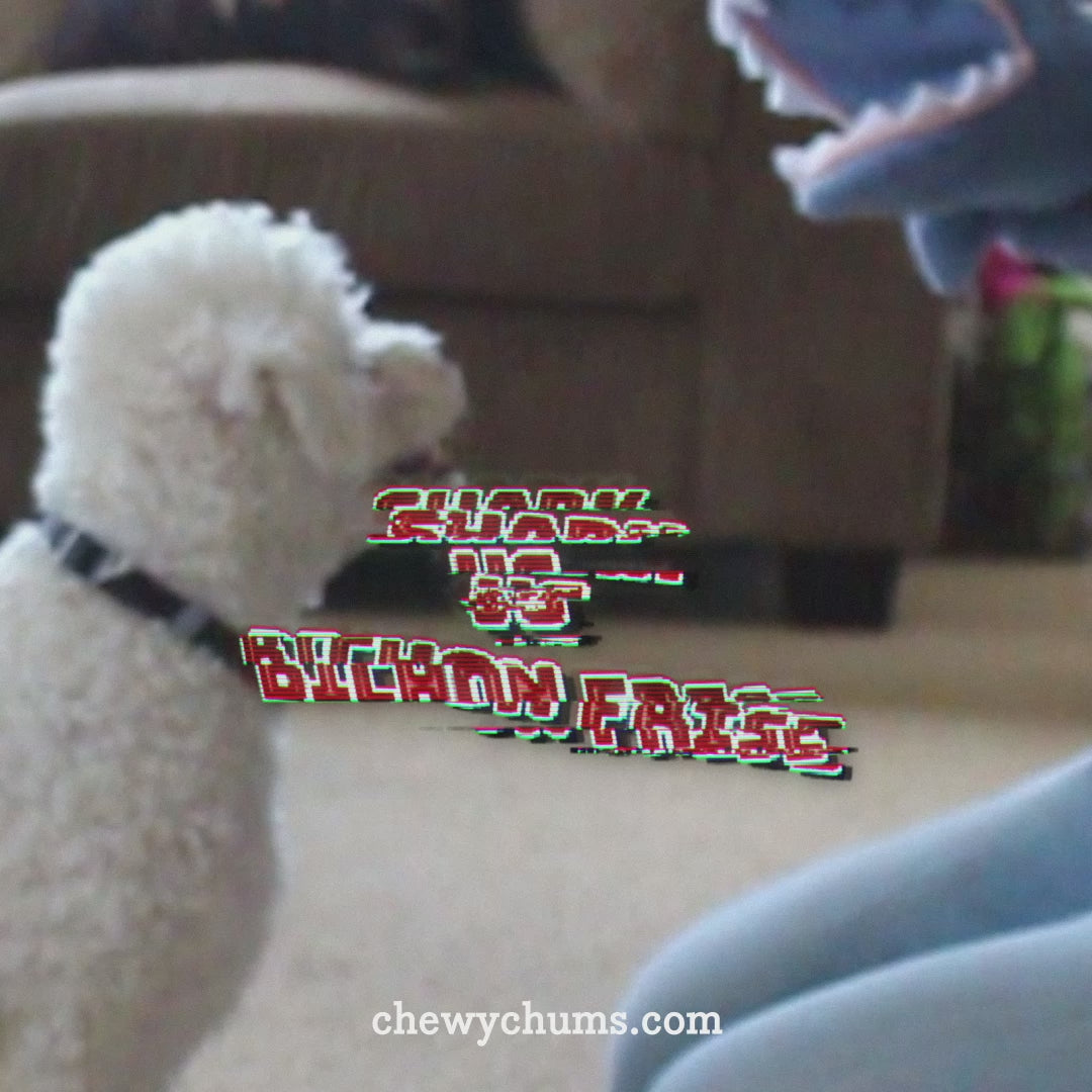 chewy chums NeverBite dog toy trainer